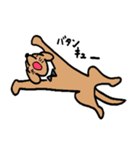 わんらぶ3（個別スタンプ：30）