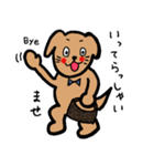 わんらぶ3（個別スタンプ：31）