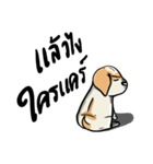 kaiipahmonters（個別スタンプ：5）