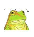 アマ蛙（個別スタンプ：1）