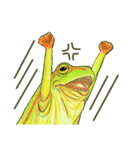 アマ蛙（個別スタンプ：5）