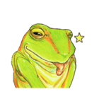 アマ蛙（個別スタンプ：8）
