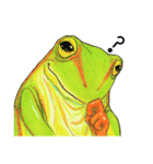 アマ蛙（個別スタンプ：16）