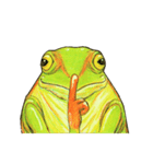 アマ蛙（個別スタンプ：21）