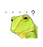 アマ蛙（個別スタンプ：38）
