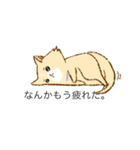 あざとい吹き出し犬（個別スタンプ：23）