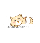 あざとい吹き出し犬（個別スタンプ：31）