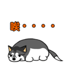 Fertilizer Husky diary（個別スタンプ：1）