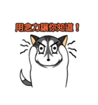 Fertilizer Husky diary（個別スタンプ：12）