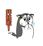 Fertilizer Husky diary（個別スタンプ：23）