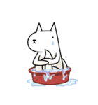 Jindol ＆ Hidi（個別スタンプ：29）
