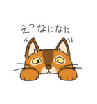 オヤジ猫ポポ係長（個別スタンプ：6）