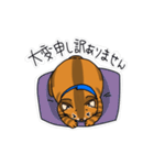 オヤジ猫ポポ係長（個別スタンプ：11）