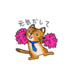 オヤジ猫ポポ係長（個別スタンプ：12）