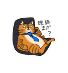 オヤジ猫ポポ係長（個別スタンプ：13）