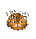 オヤジ猫ポポ係長（個別スタンプ：14）