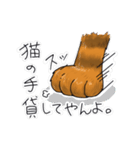 オヤジ猫ポポ係長（個別スタンプ：22）