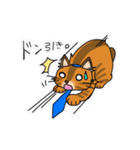 オヤジ猫ポポ係長（個別スタンプ：30）