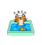 オヤジ猫ポポ係長（個別スタンプ：33）