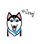 Husky Vector（個別スタンプ：2）