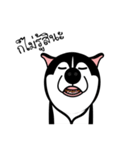 Husky Vector（個別スタンプ：4）