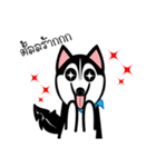 Husky Vector（個別スタンプ：6）