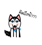 Husky Vector（個別スタンプ：9）
