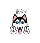 Husky Vector（個別スタンプ：13）