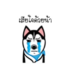 Husky Vector（個別スタンプ：17）