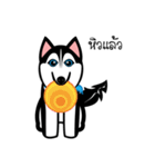 Husky Vector（個別スタンプ：22）