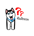 Husky Vector（個別スタンプ：24）