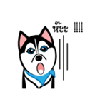 Husky Vector（個別スタンプ：27）