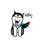 Husky Vector（個別スタンプ：33）