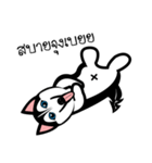 Husky Vector（個別スタンプ：36）
