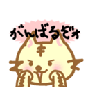 どら猫スタンプ（個別スタンプ：5）