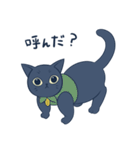 黒猫くろすけ（個別スタンプ：16）