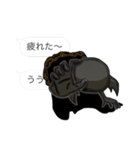 クワガタ（個別スタンプ：32）