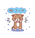 にゃーにゃの日常（個別スタンプ：3）