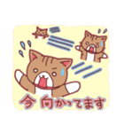 にゃーにゃの日常（個別スタンプ：26）