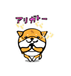 丸犬4版（個別スタンプ：3）