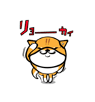 丸犬4版（個別スタンプ：7）