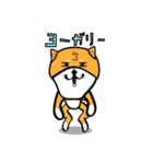 丸犬4版（個別スタンプ：40）