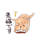 ねこ保護活動家用スタンプ（個別スタンプ：12）