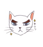 ねこ保護活動家用スタンプ（個別スタンプ：16）