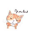 ねこ保護活動家用スタンプ（個別スタンプ：25）