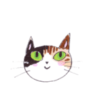 ねこ保護活動家用スタンプ（個別スタンプ：33）