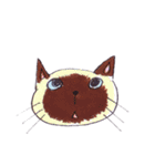 ねこ保護活動家用スタンプ（個別スタンプ：35）
