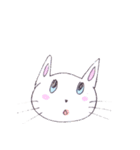 ねこ保護活動家用スタンプ（個別スタンプ：40）