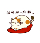 ぐーたら三毛猫にゃんこ2（個別スタンプ：11）