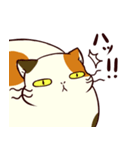 ぐーたら三毛猫にゃんこ2（個別スタンプ：25）